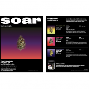 Soar - August 2025 Flower Info Sheet